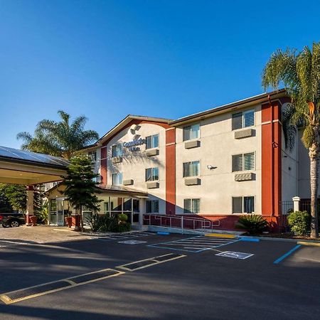 Comfort Inn Gilroy Dış mekan fotoğraf